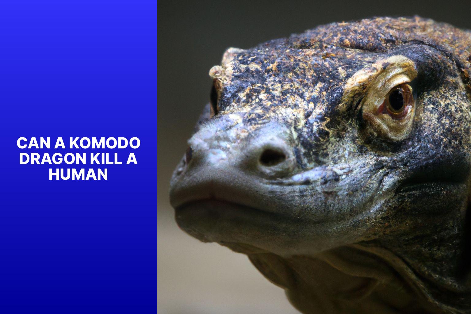 Can a Komodo Dragon Kill a Human?