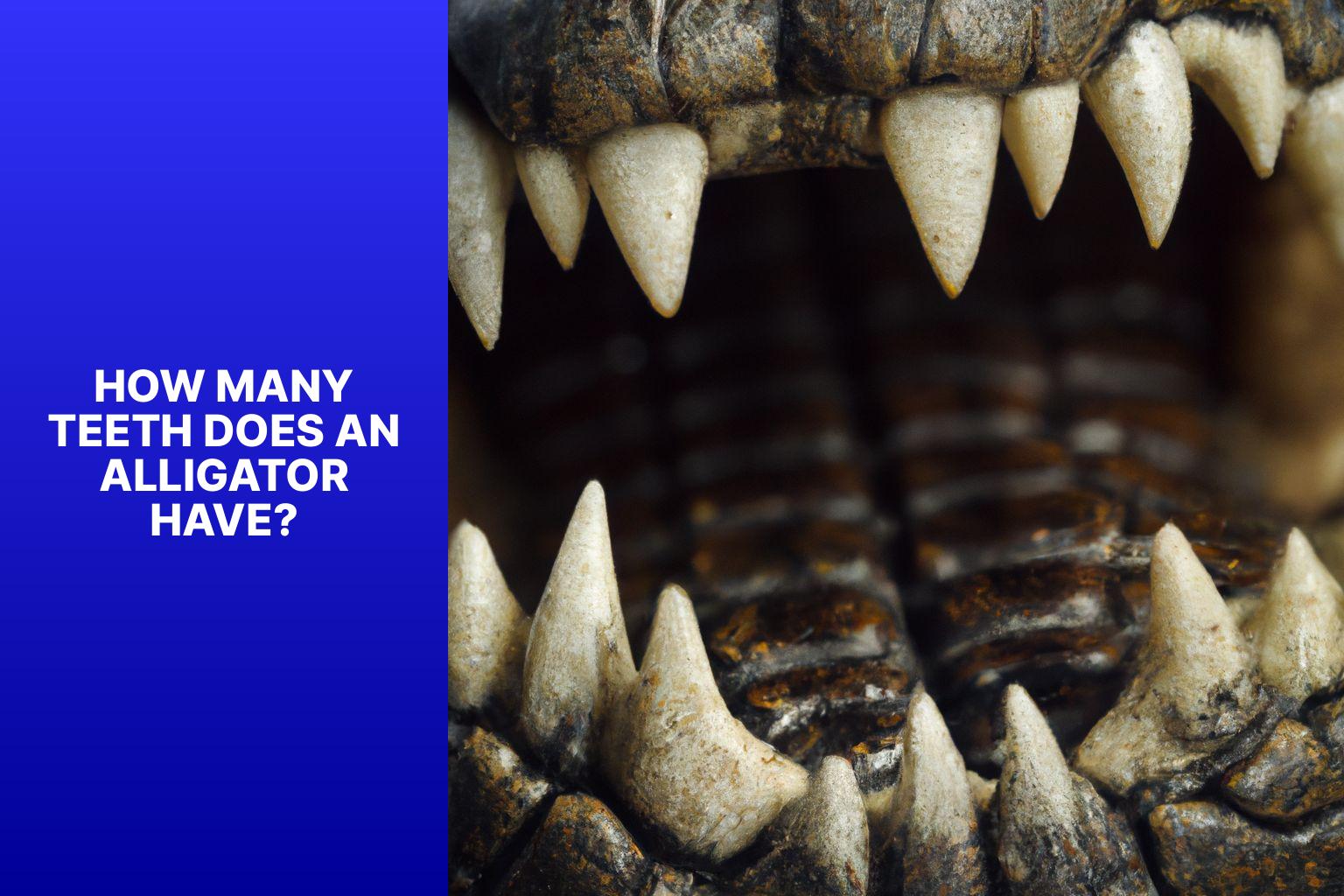 Alligator Teeth 101: How Many Teeth Do Alligators Actually Have ...