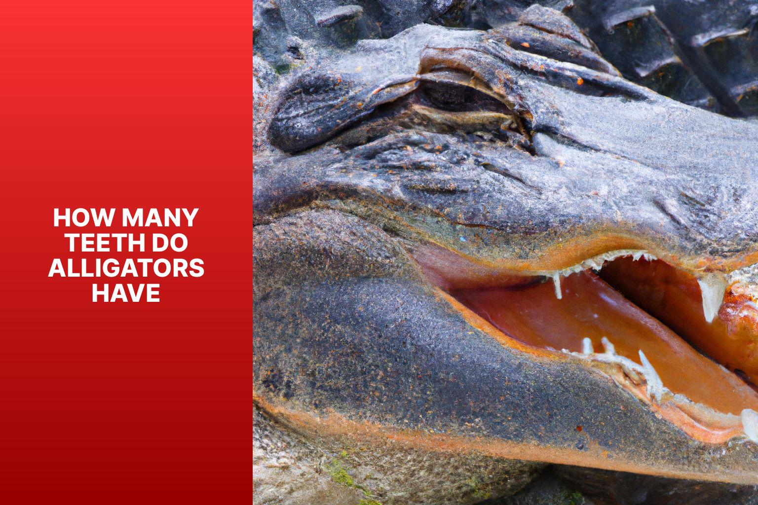 Alligator Teeth 101: How Many Teeth Do Alligators Actually Have 