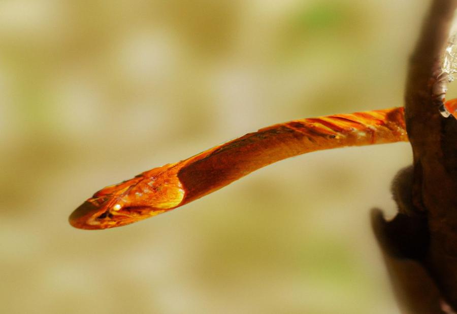 When Do Snakes Come Out? - When Do Snakes Come Out? Seasons and Behavior Explained 