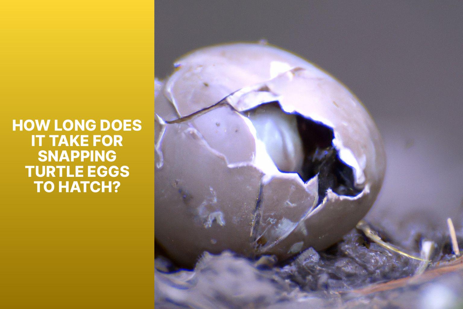 How Long Does It Take for Snapping Turtle Eggs to Hatch? - How Long Does It Take for Snapping Turtle Eggs to Hatch? 